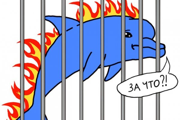 Кракен маркетплейс создатель