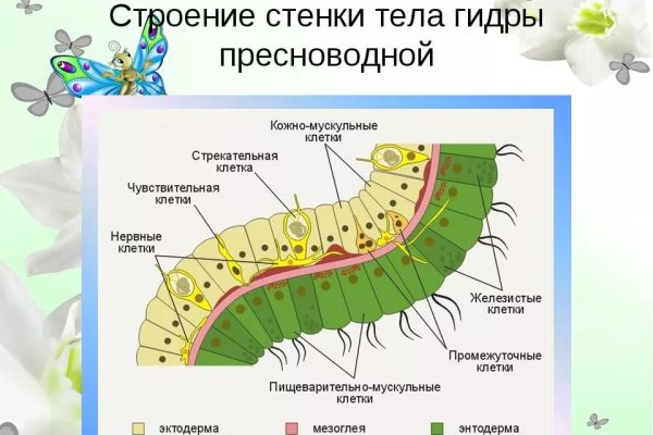 Кракен даркнет войти