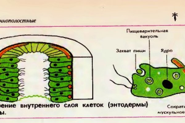 Как подключиться к даркнету