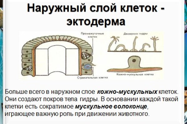 Сайт мега кракен